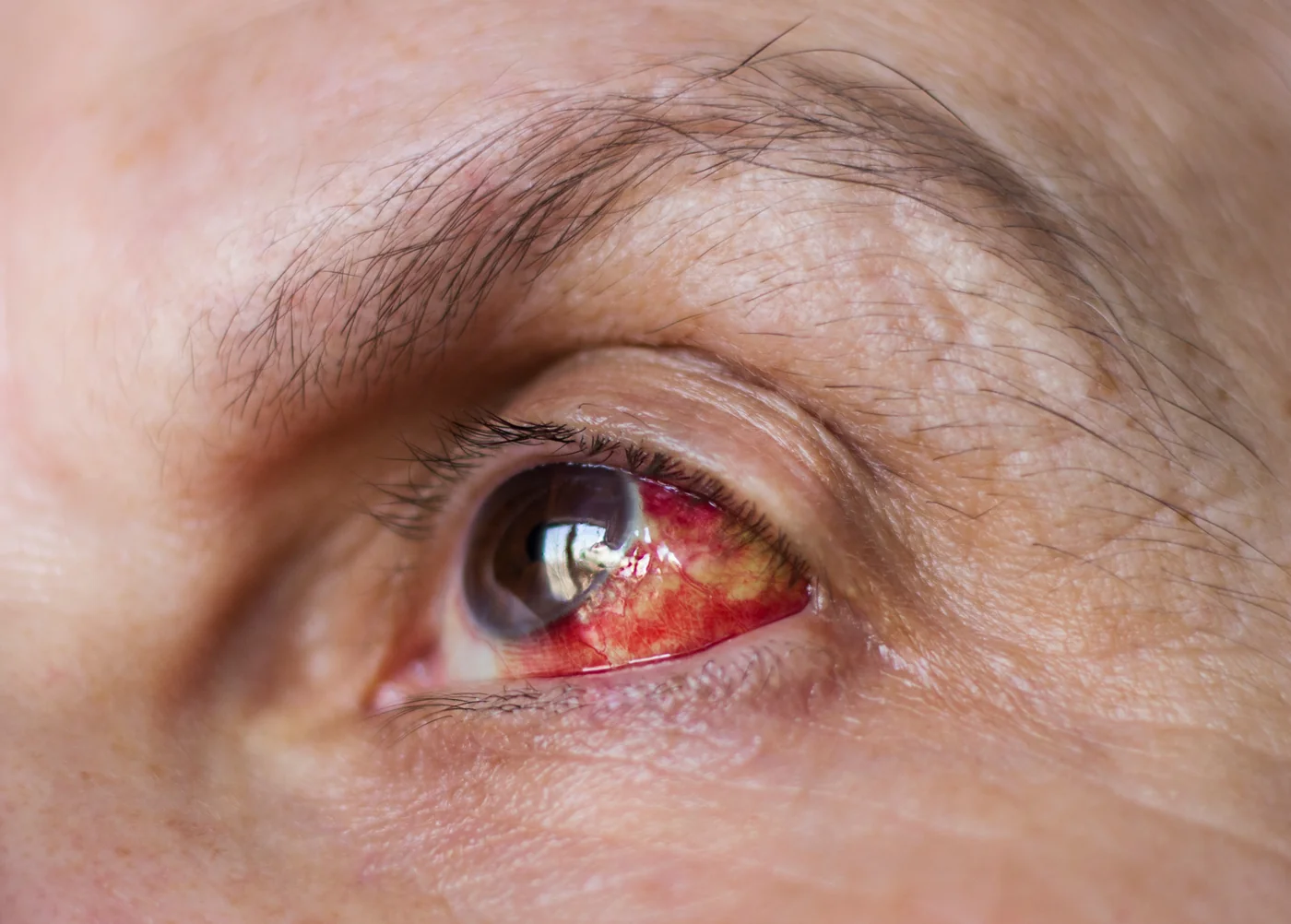 Concentrated female medical specialist using professional tool for checking vision of patient in contemporary ophthalmology clinic